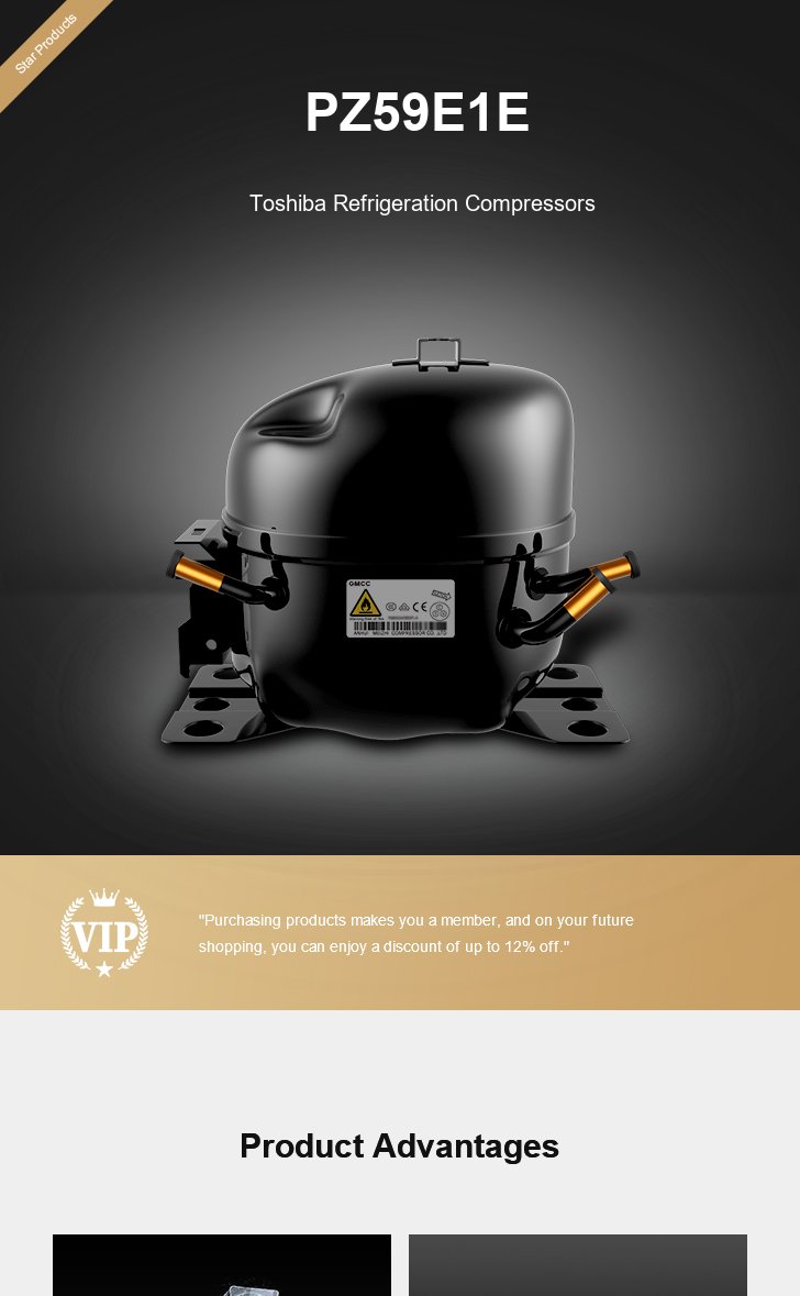 Toshiba Compressor PZ59E1E, technical parameters pdf, structure diagram